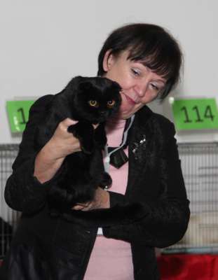 �������� ����� '������� ���-�����' 30 ������-1 ������� 2013., ������������ ��� 3118